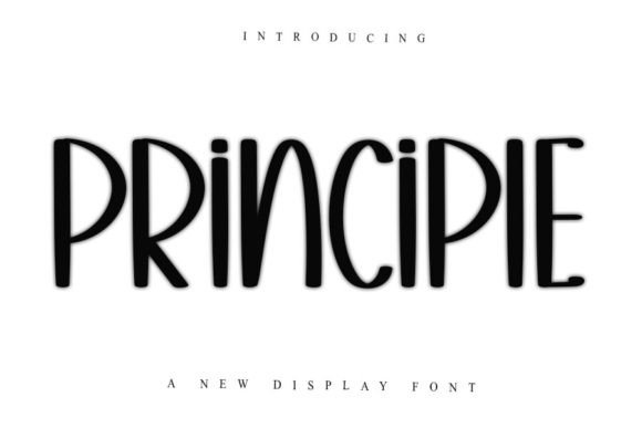 Principle: A Versatile Display Font for Creative Branding